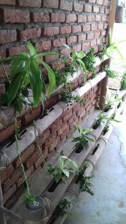 Longchen Homestay Dimapur Ngoại thất bức ảnh